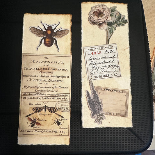 Botanical Handmade Bookmark – Cotton Paper & Pressed Detail